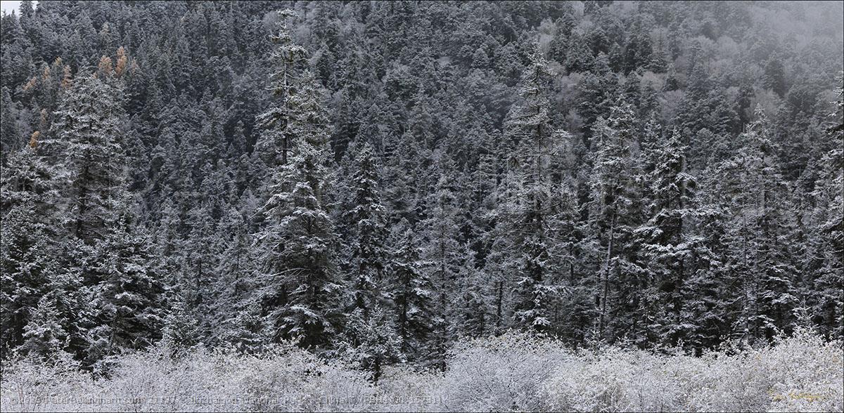 Peter Bellingham Photography Jiuzhaigou National Park - China T (PBH4 00 15731)